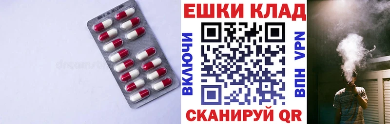 Ecstasy Cube  Купить закладки  Пионерский 