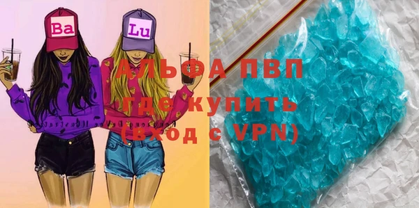спиды Верея