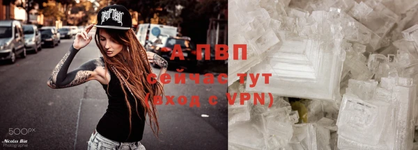 спиды Верея