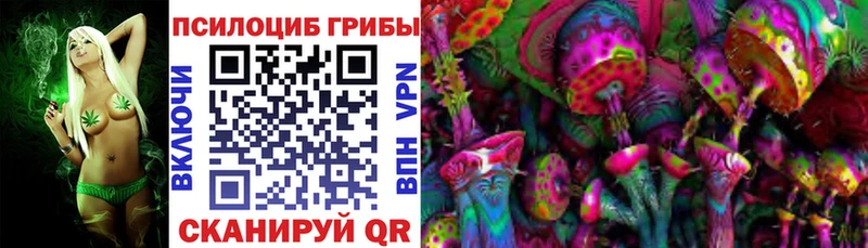 Купить где  Пионерский  Галлюциногенные грибы Cubensis 
